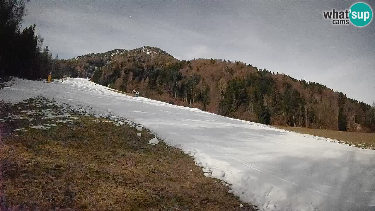 Kranjska Gora Station de ski | Brsnina