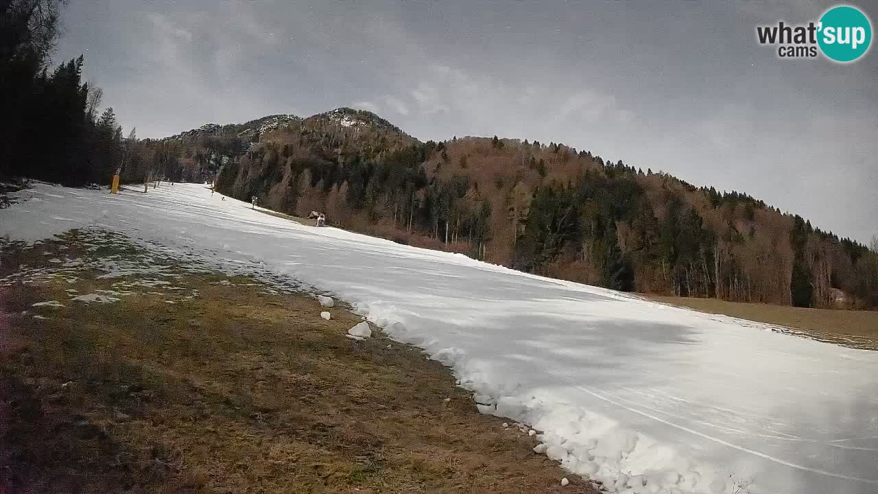 RTC Skigebiet Kranjska Gora | Brsnina