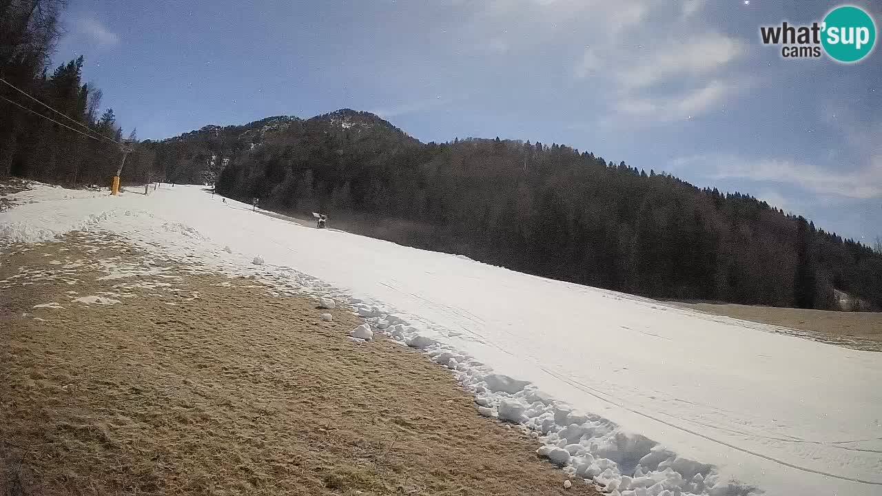 Esquí Kranjska Gora | Brsnina
