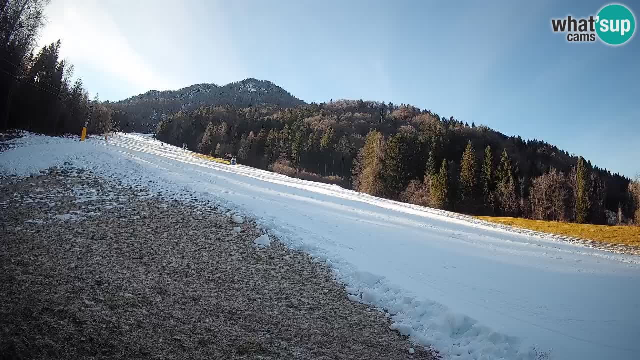 Kranjska Gora Station de ski | Brsnina