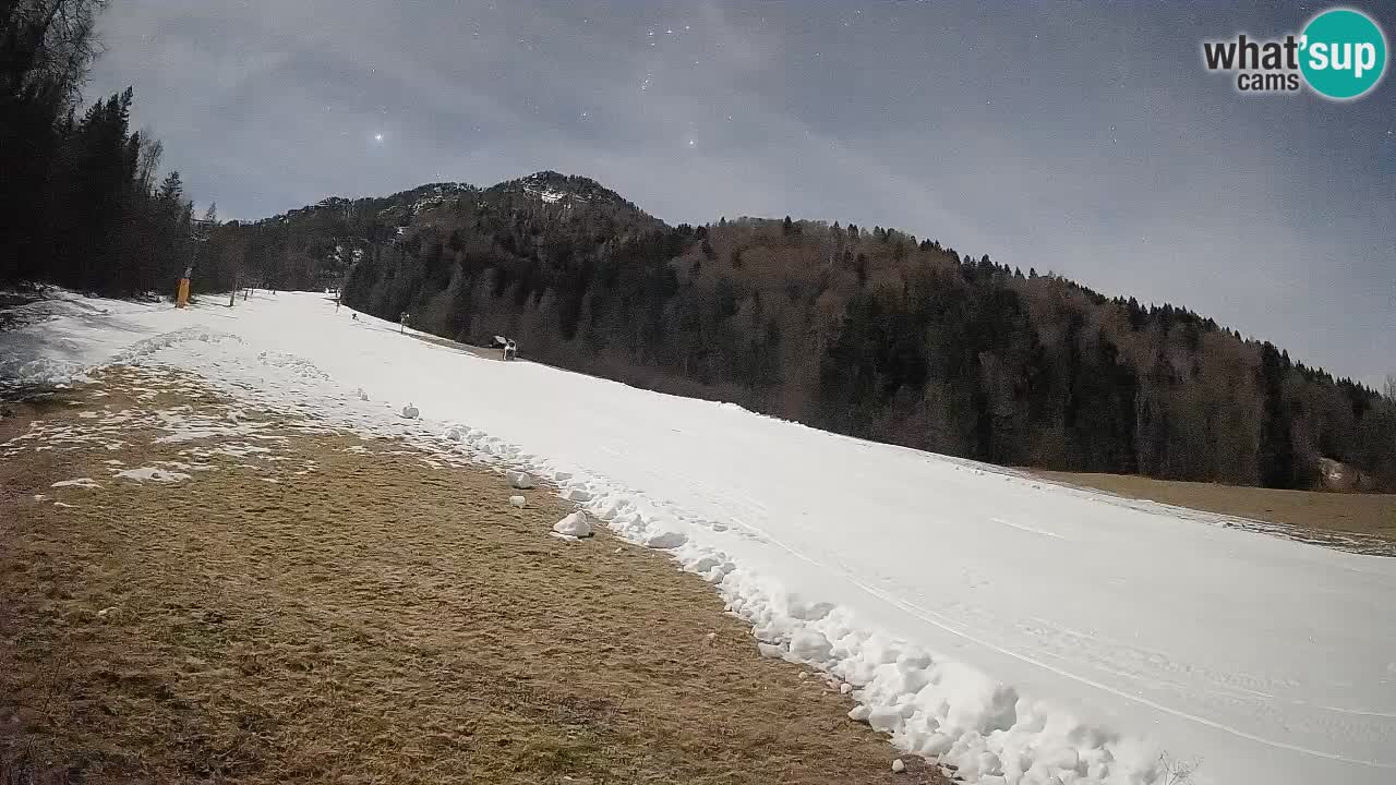 RTC Skigebiet Kranjska Gora | Brsnina