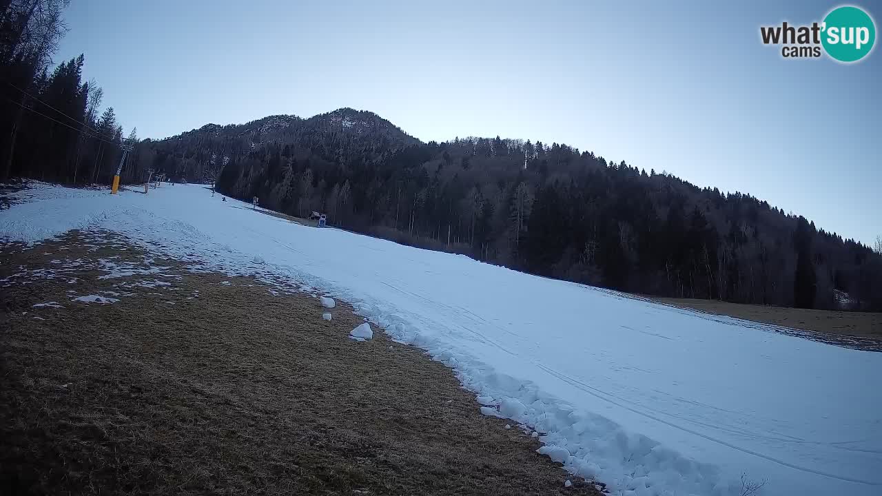 Ski Kranjska Gora | Brsnina