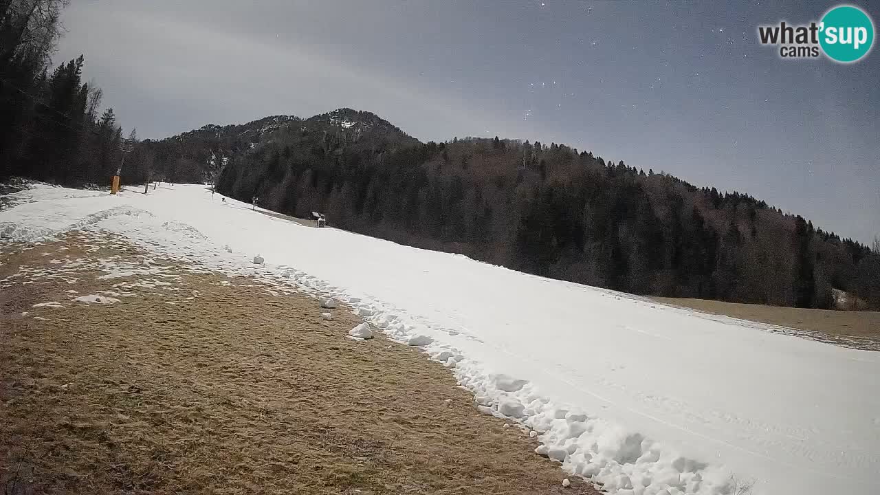 RTC Skigebiet Kranjska Gora | Brsnina