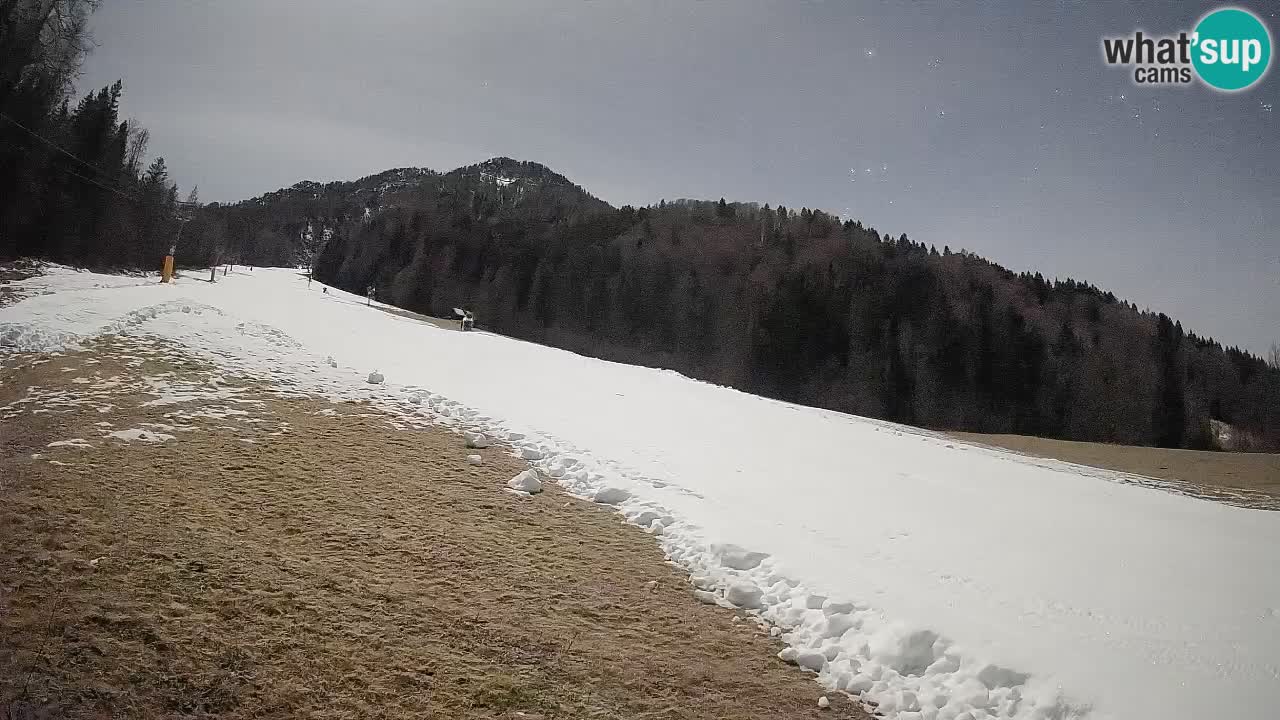 RTC Kranjska Gora | Brsnina