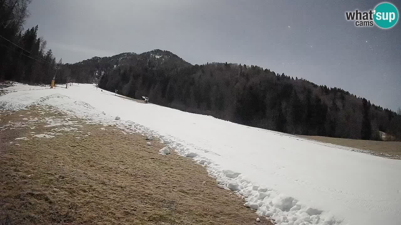 RTC Kranjska Gora | Brsnina