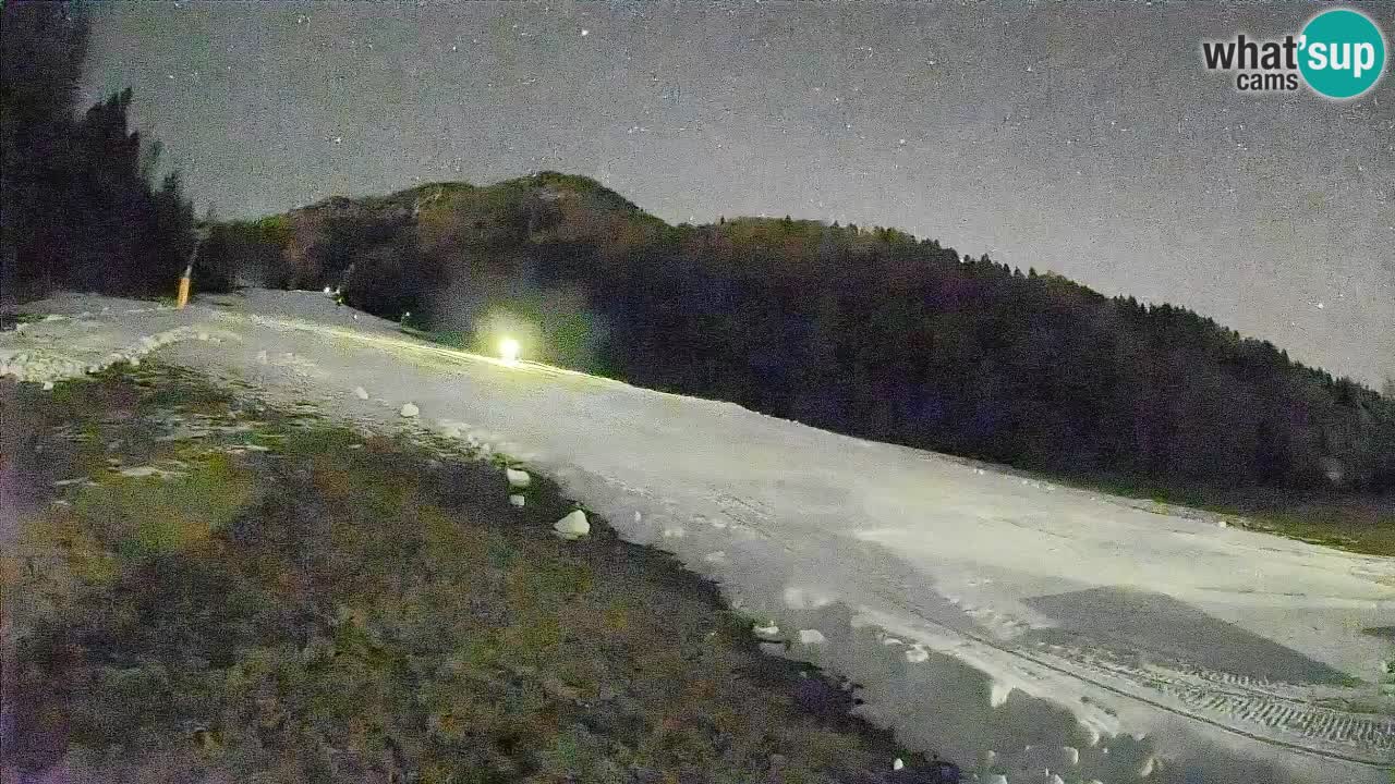 Ski Kranjska Gora | Brsnina