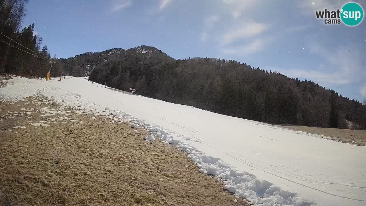 Ski Kranjska Gora | Brsnina