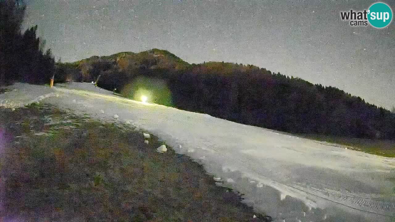 Esquí Kranjska Gora | Brsnina