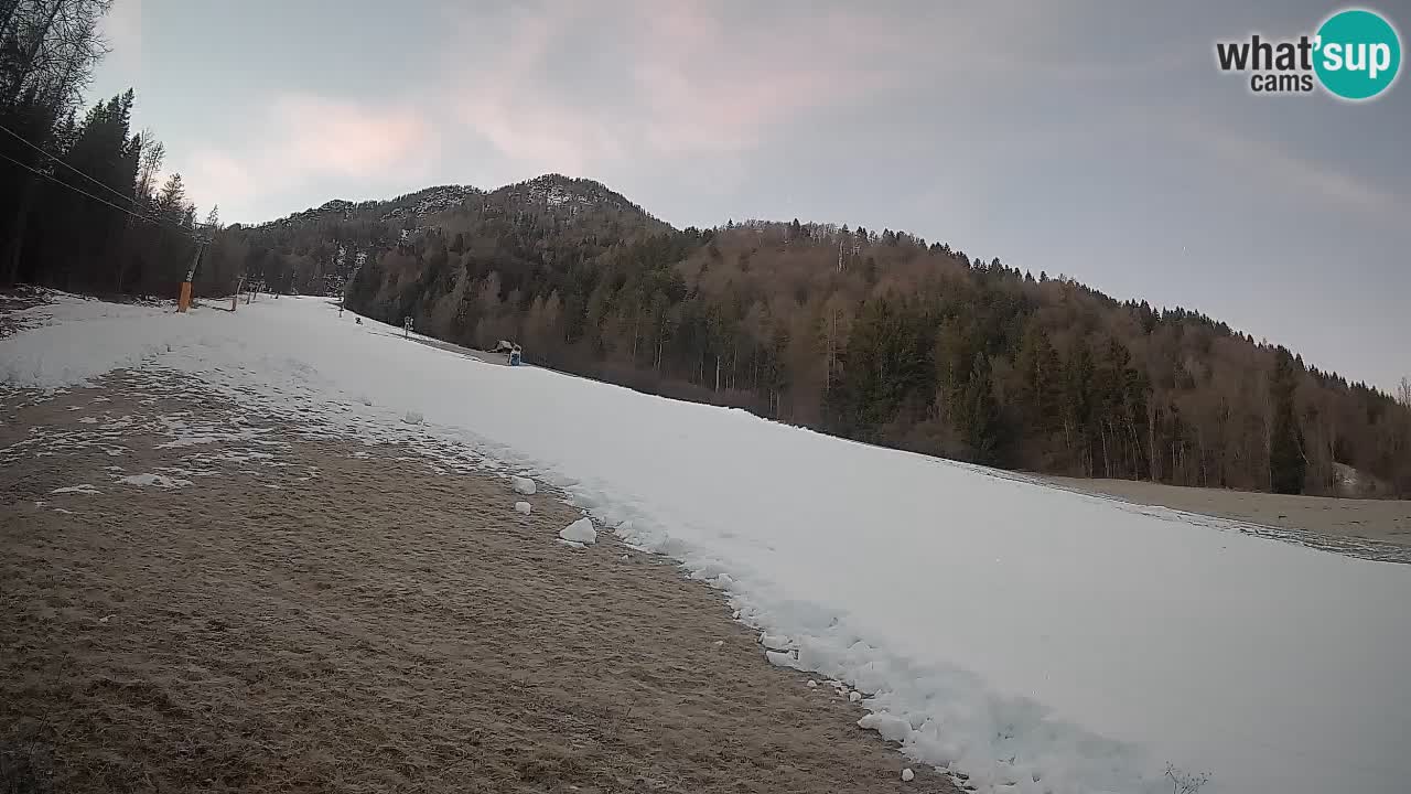 RTC Skigebiet Kranjska Gora | Brsnina