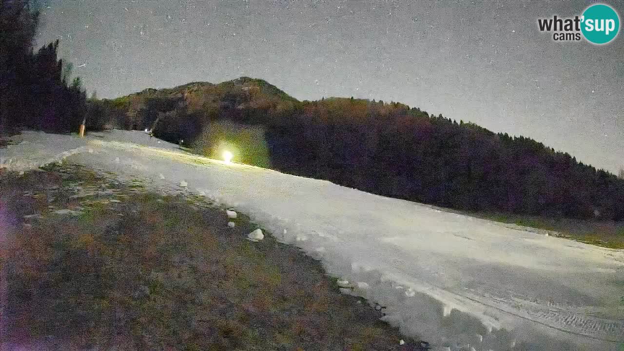 Ski Kranjska Gora | Brsnina