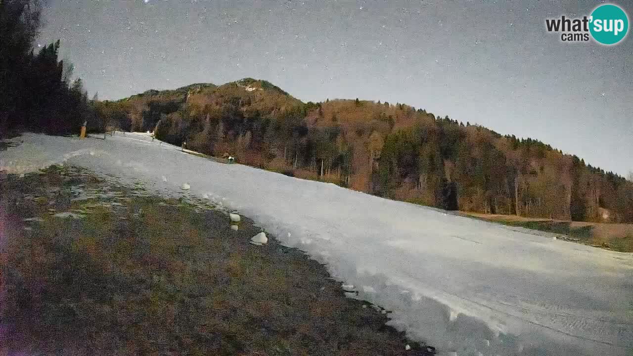 Ski Kranjska Gora | Brsnina