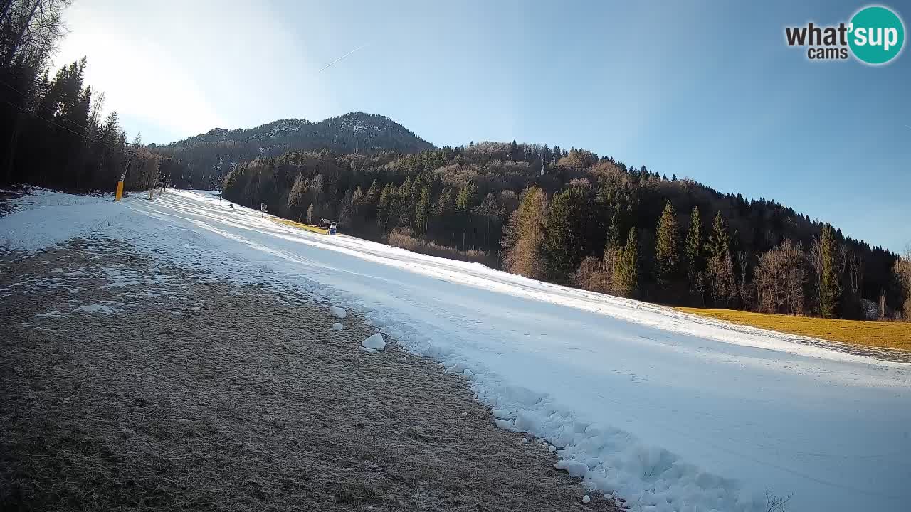 Ski Kranjska Gora | Brsnina