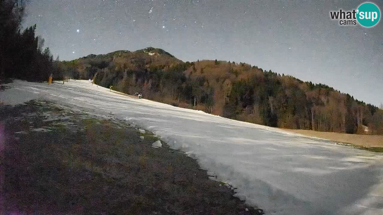 Ski Kranjska Gora | Brsnina