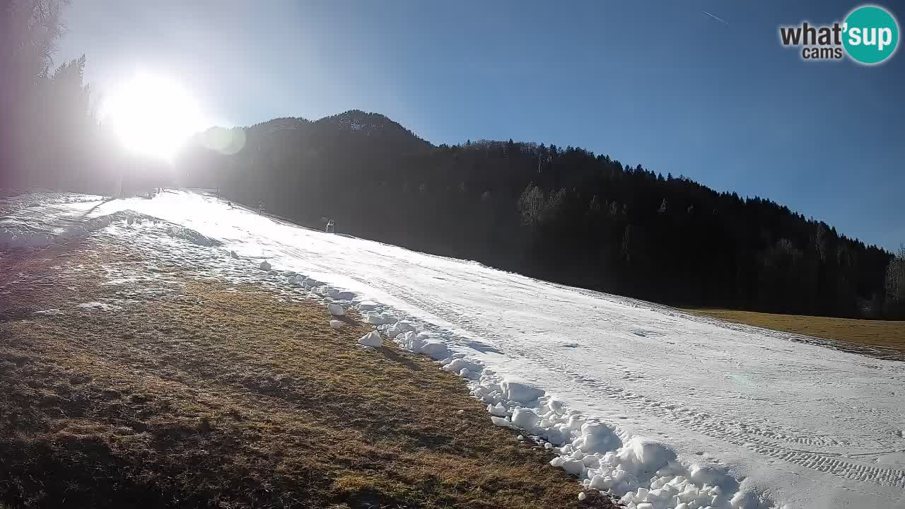RTC Skigebiet Kranjska Gora | Brsnina