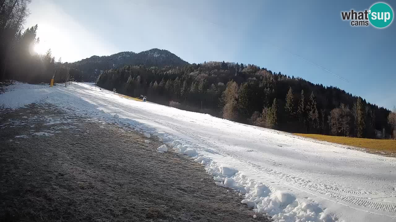 Kranjska Gora Station de ski | Brsnina