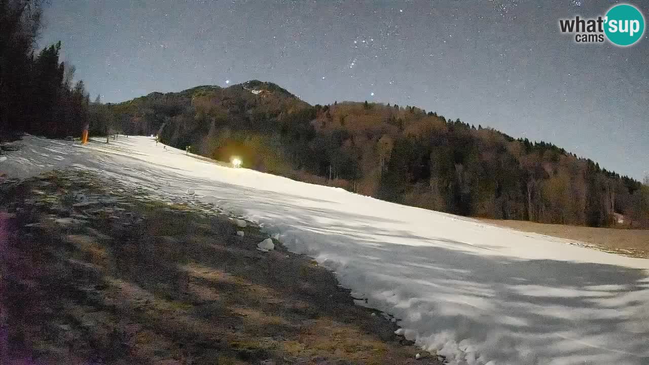 RTC Kranjska Gora | Brsnina