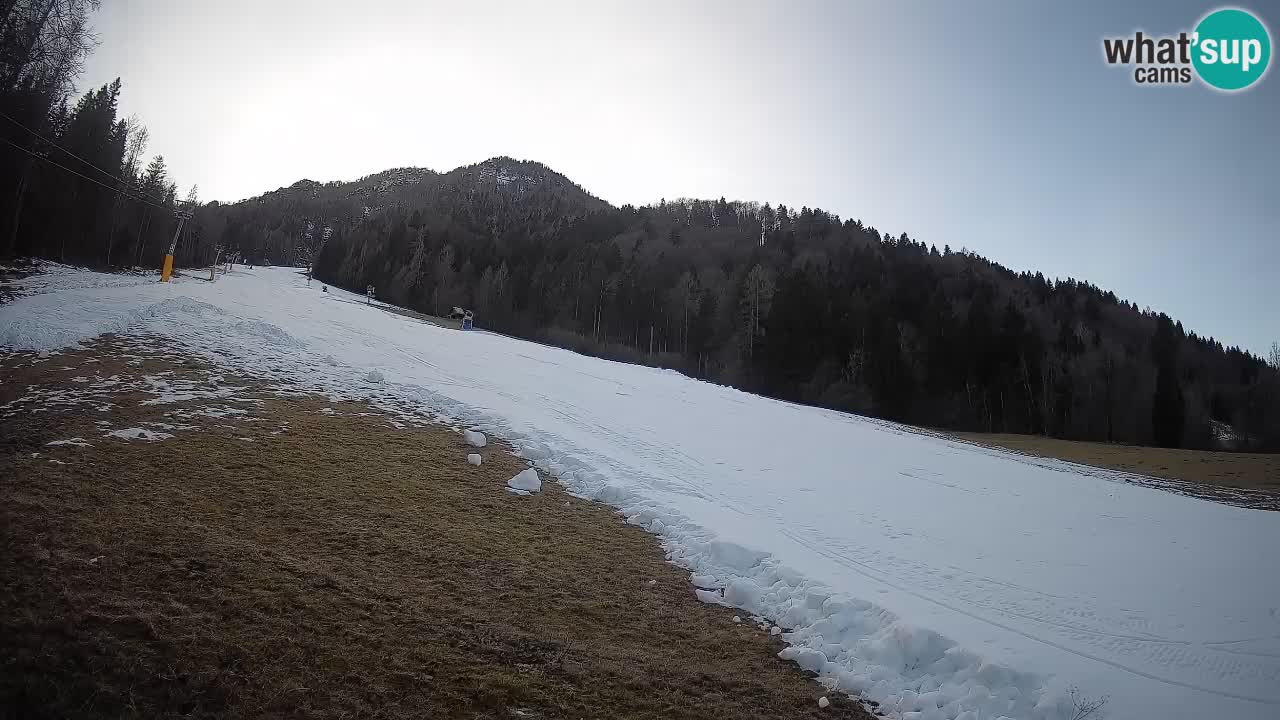 Kranjska Gora SKIJANJE | Brsnina