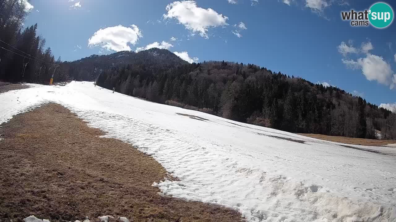 Ski Kranjska Gora | Brsnina