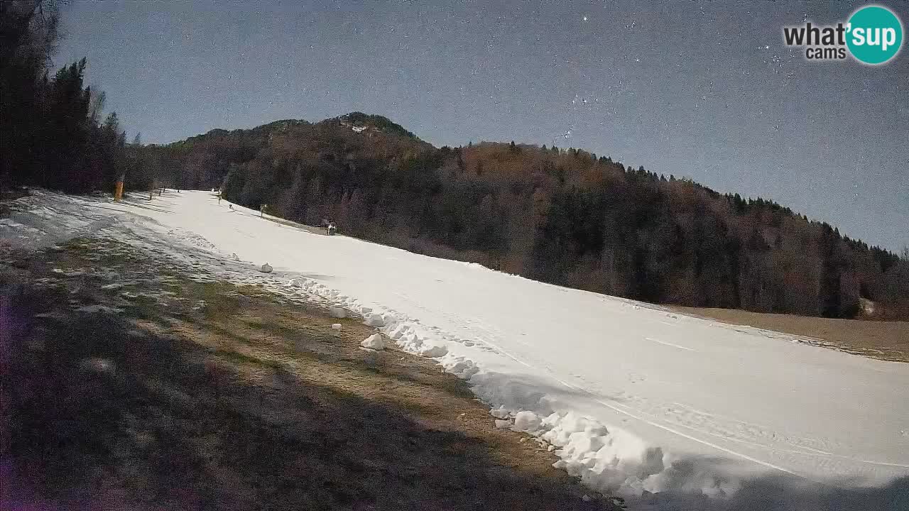 Esquí Kranjska Gora | Brsnina