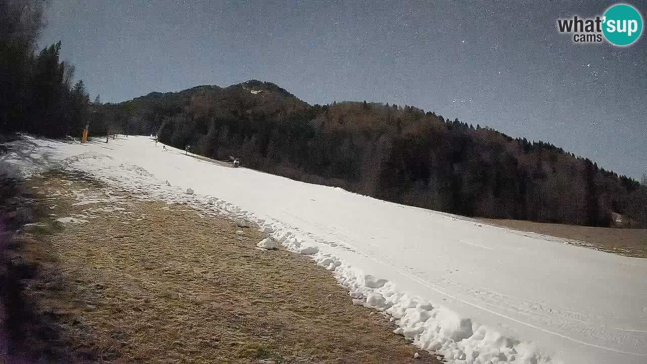 Kranjska Gora SKIJANJE | Brsnina
