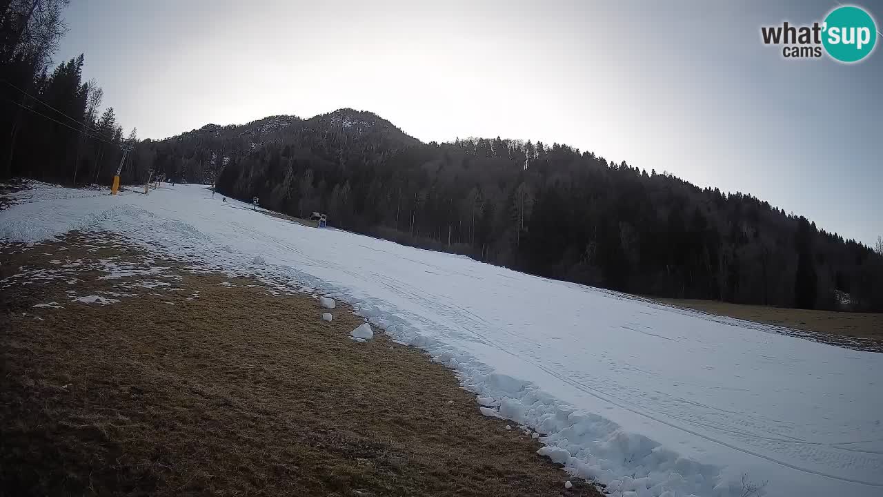 Ski Kranjska Gora | Brsnina