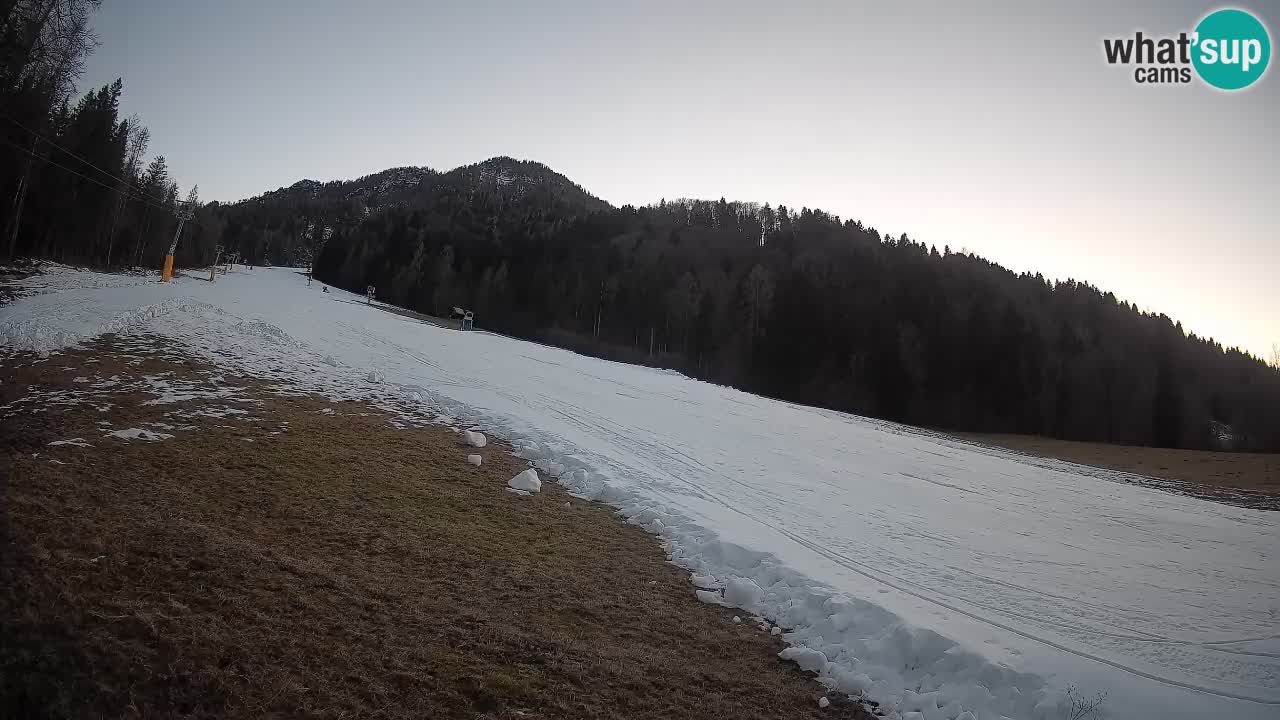 Ski Kranjska Gora | Brsnina