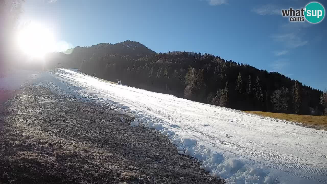 RTC Skigebiet Kranjska Gora | Brsnina