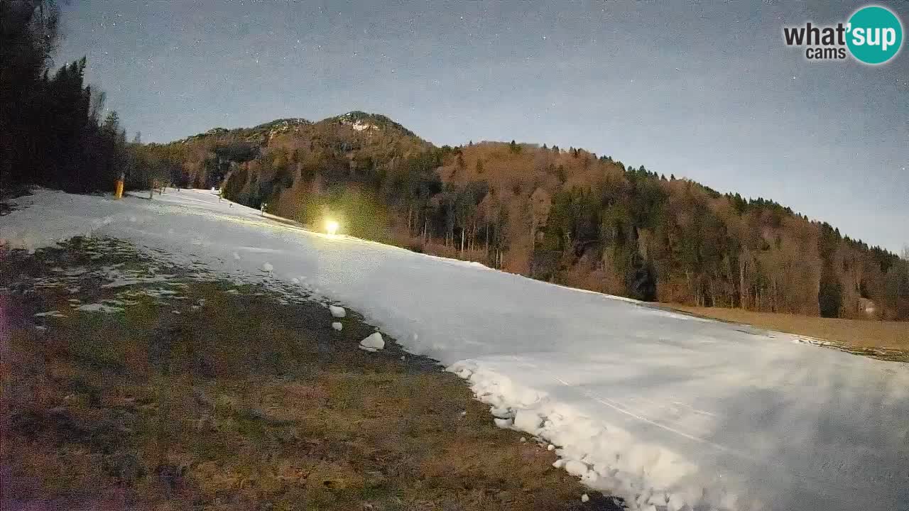 Kranjska Gora Station de ski | Brsnina