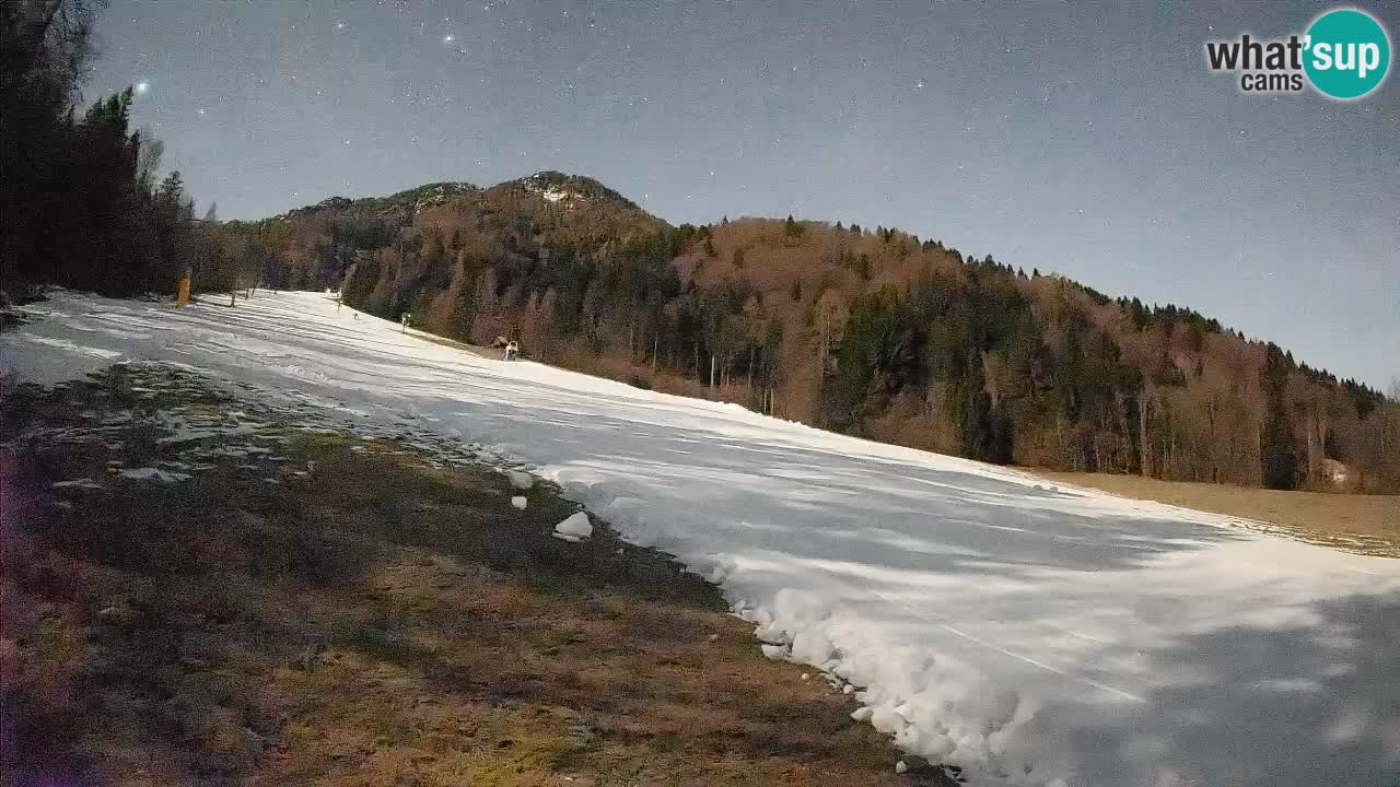 RTC Kranjska Gora | Brsnina