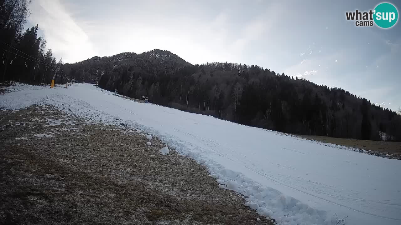 RTC Kranjska Gora | Brsnina