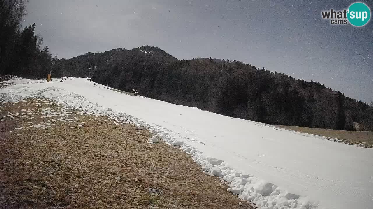 Esquí Kranjska Gora | Brsnina