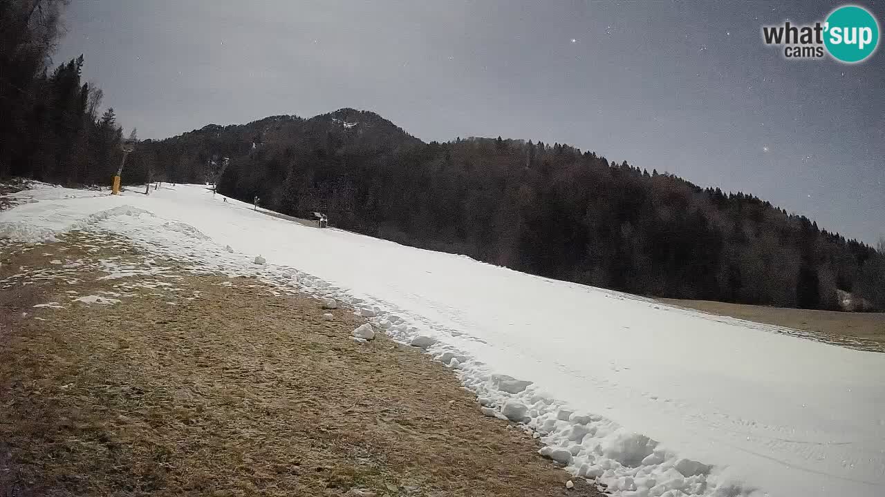 Comprensorio sciistico Kranjska Gora | Brsnina