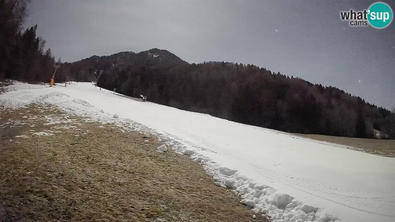 Kranjska Gora SKIJANJE | Brsnina