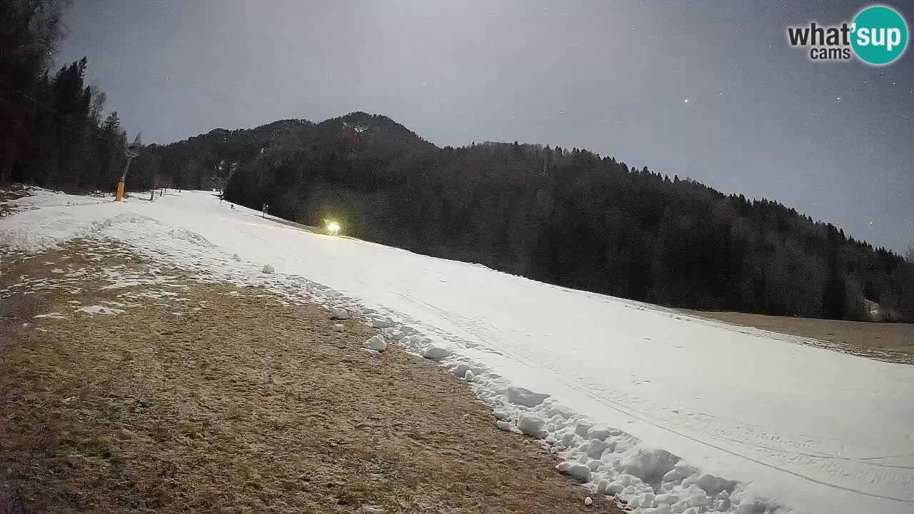 Comprensorio sciistico Kranjska Gora | Brsnina