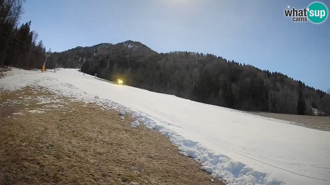 Kranjska Gora SKIJANJE | Brsnina