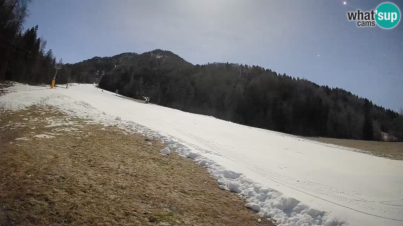 Comprensorio sciistico Kranjska Gora | Brsnina