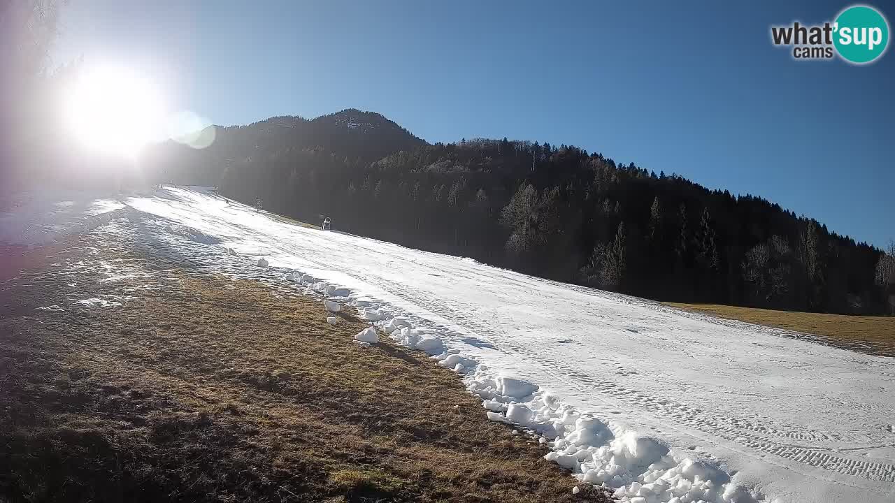 RTC Kranjska Gora | Brsnina