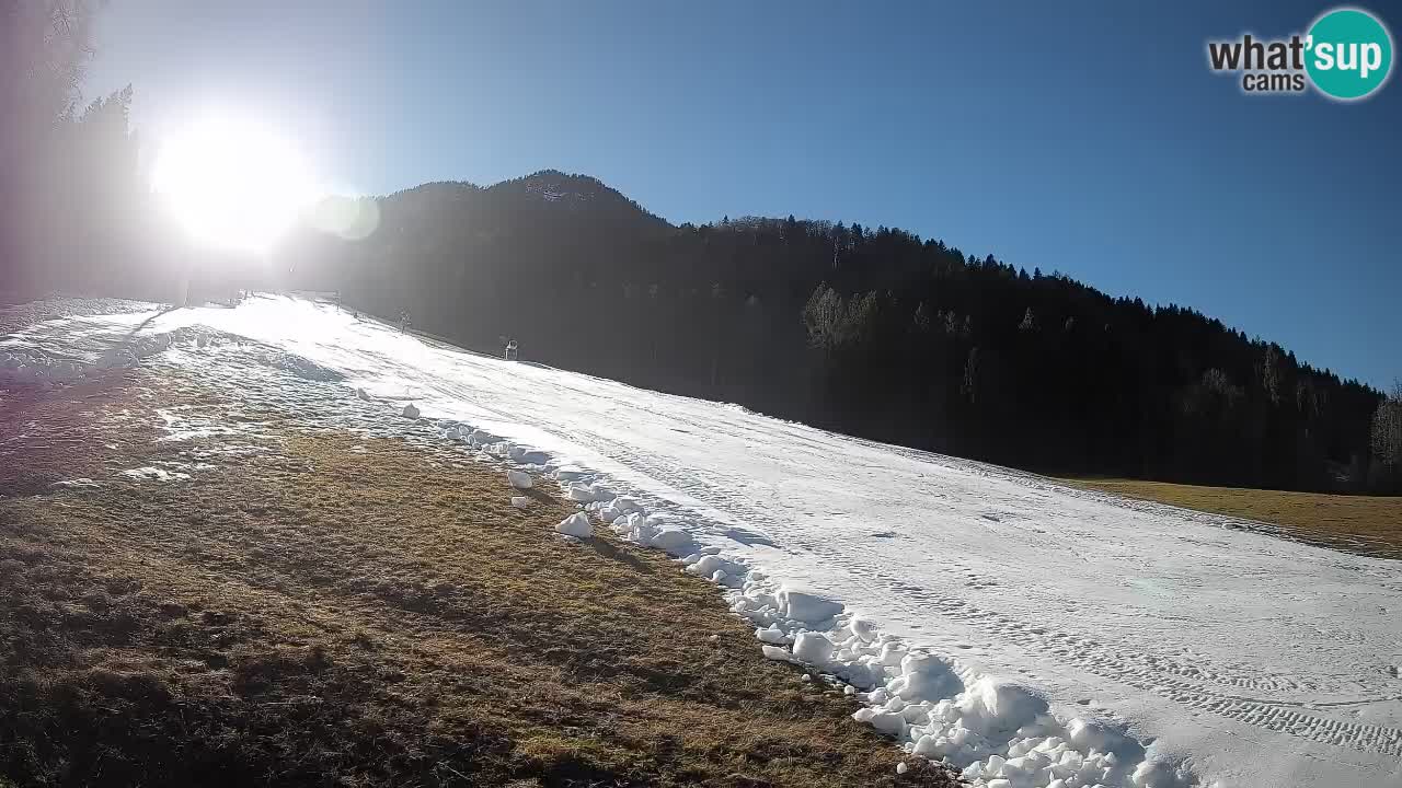 RTC Skigebiet Kranjska Gora | Brsnina