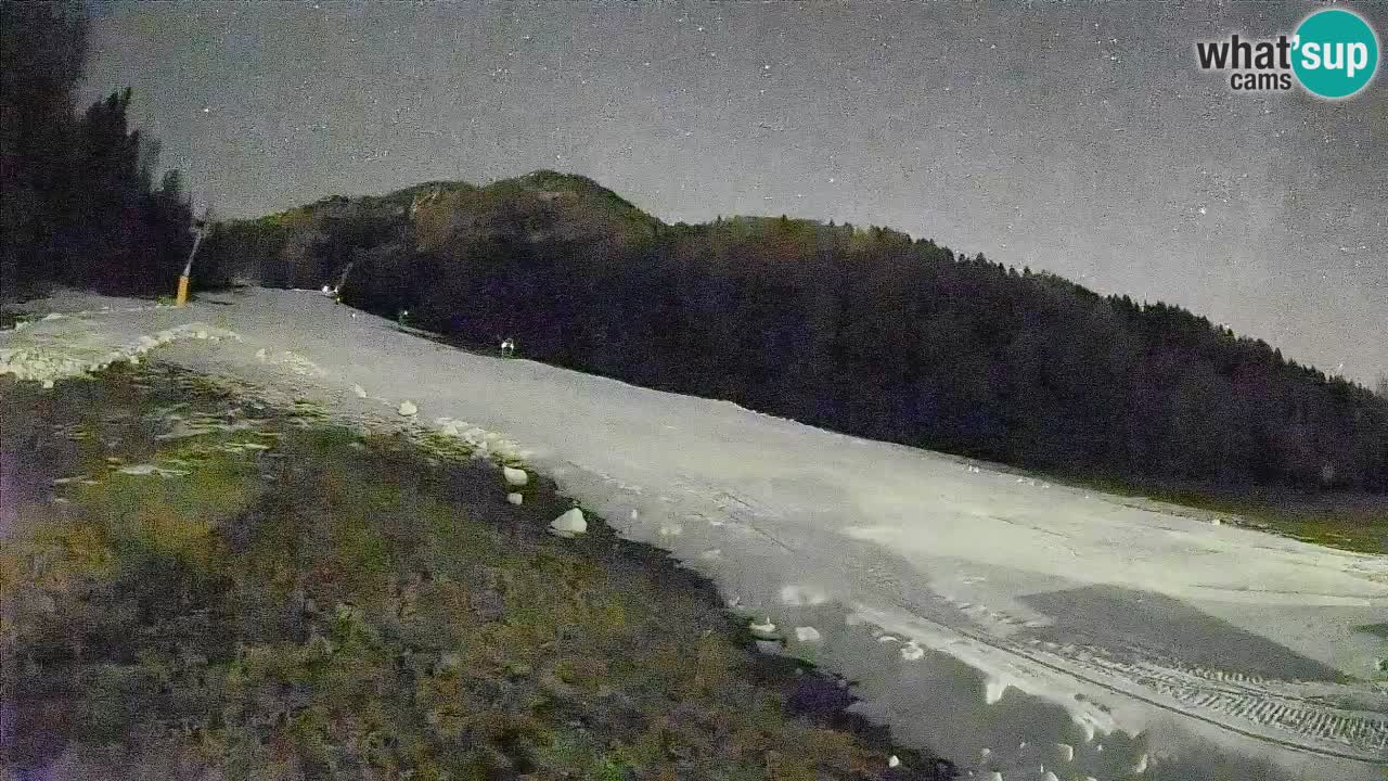 Ski Kranjska Gora | Brsnina