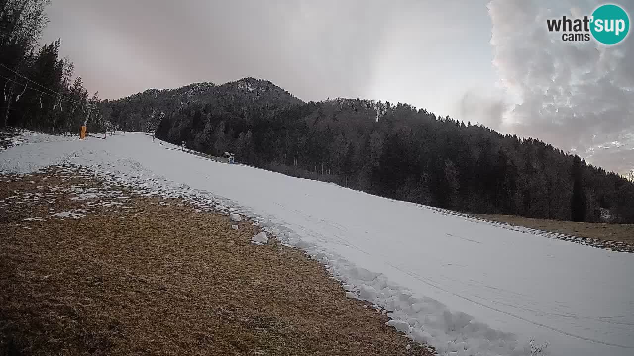 Esquí Kranjska Gora | Brsnina