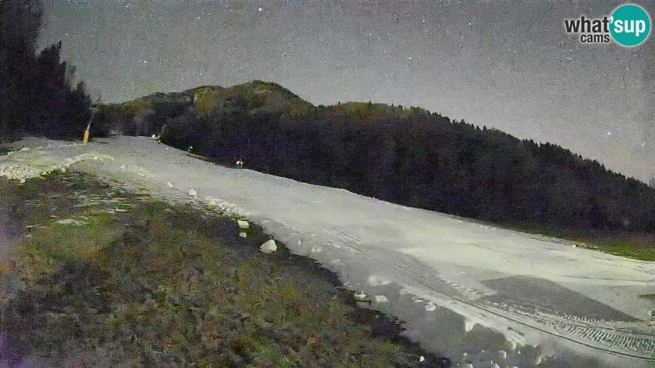 RTC Kranjska Gora | Brsnina