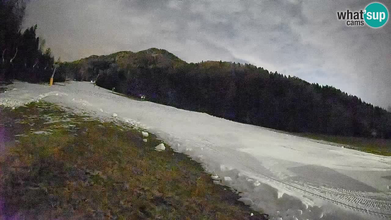 Comprensorio sciistico Kranjska Gora | Brsnina