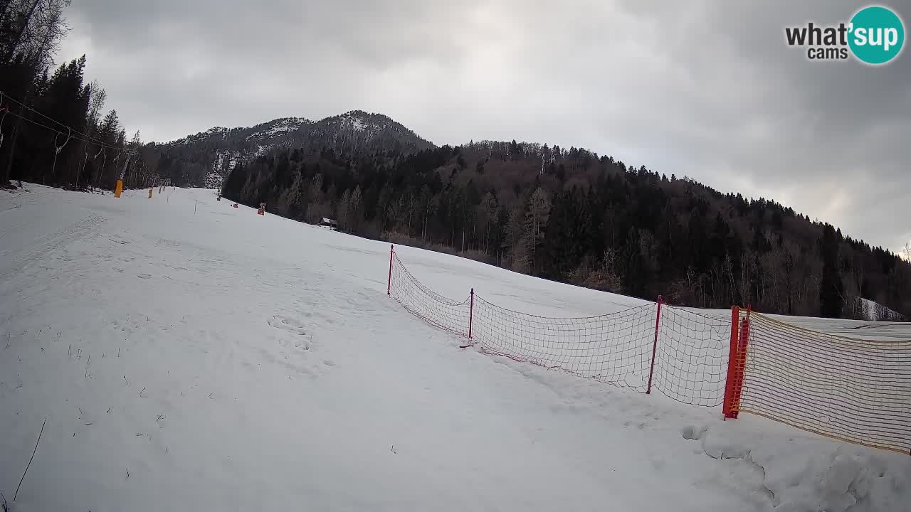 Ski Kranjska Gora | Brsnina