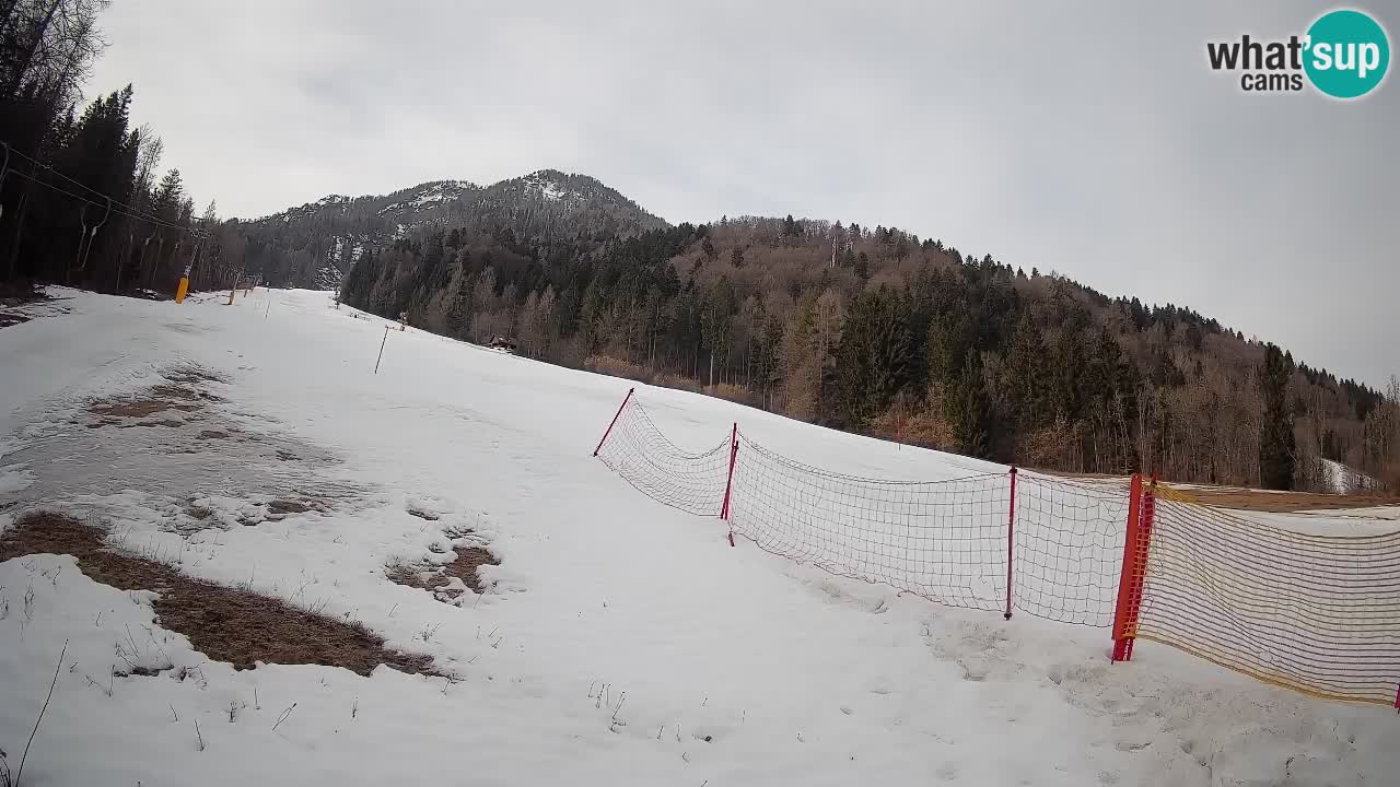 Ski Kranjska Gora | Brsnina