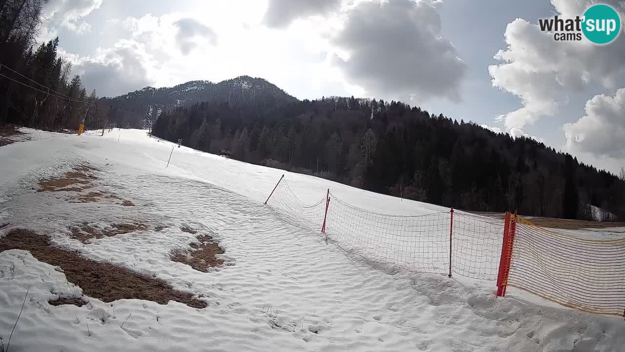 Kranjska Gora SKIJANJE | Brsnina