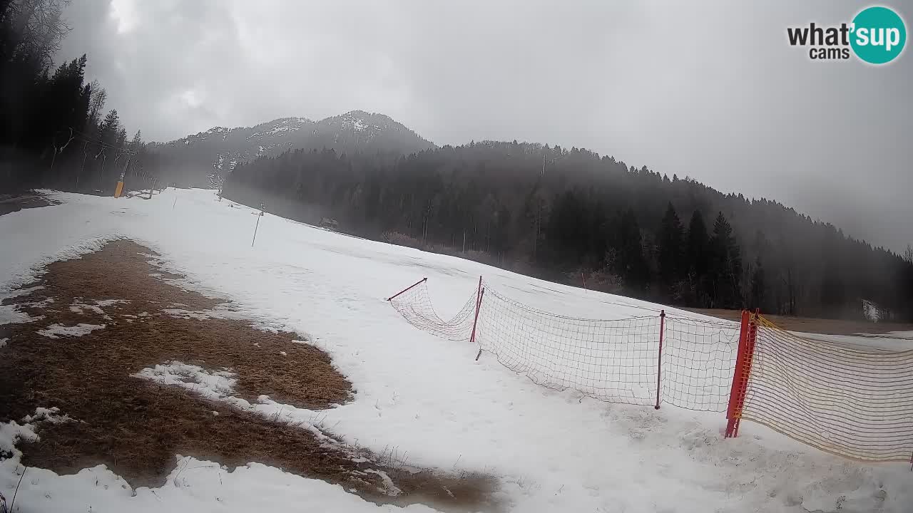 Comprensorio sciistico Kranjska Gora | Brsnina