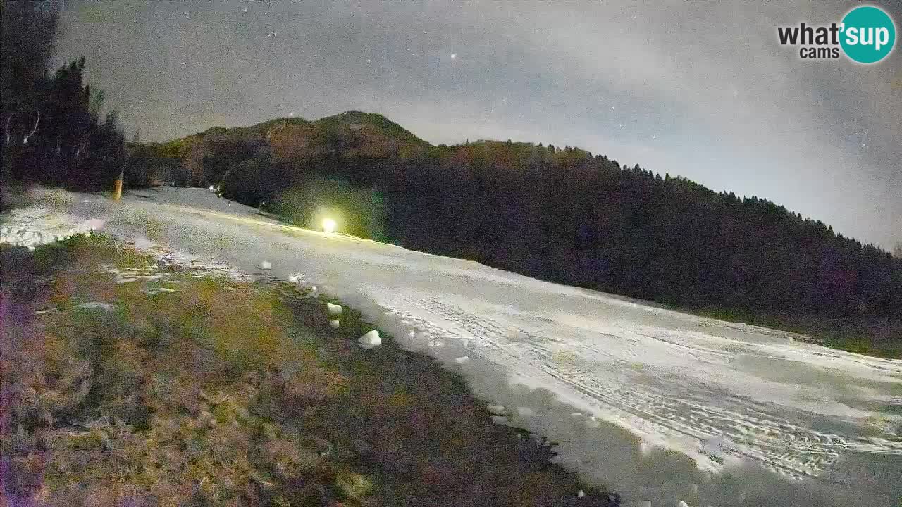 Kranjska Gora Station de ski | Brsnina