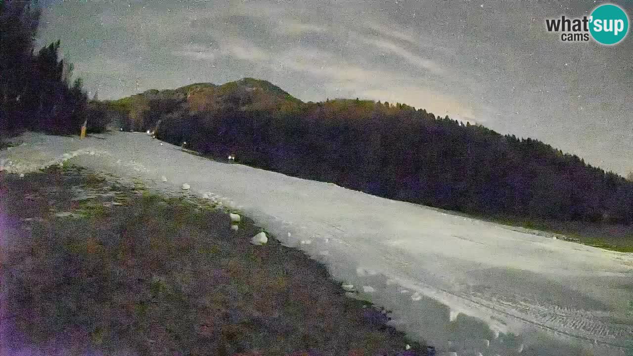 RTC Skigebiet Kranjska Gora | Brsnina