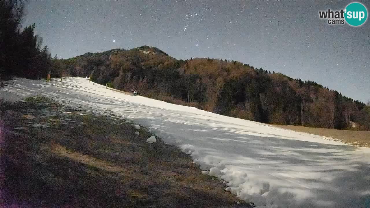 Ski Kranjska Gora | Brsnina