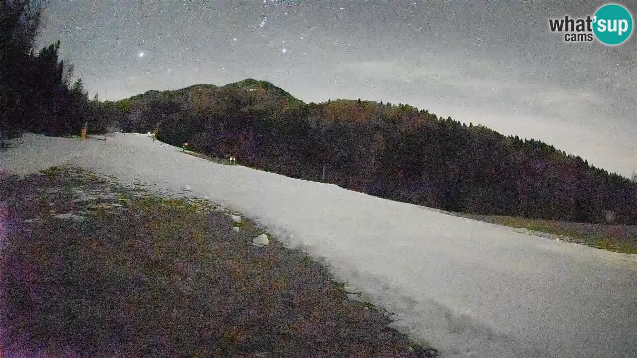 Kranjska Gora Station de ski | Brsnina